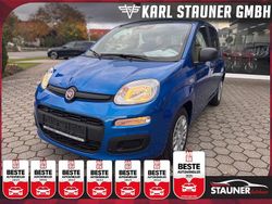 Blau Neu 2025 Fiat Panda Kleinwagen | 13.280 € (Guter Preis)