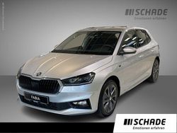 Grau Gebraucht 2024 Skoda Fabia Drive Kleinwagen | 24.390 € (Etwas zu teuer)