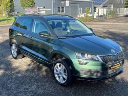 Grün Gebraucht 2019 Skoda Karoq Ambition SUV | 16.890 € (Guter Preis)