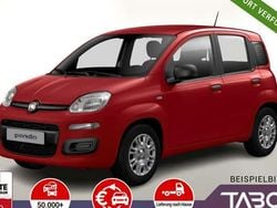 Rot Neu 2025 Fiat Panda Pop Kleinwagen | 13.645 € (Guter Preis)