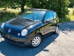 Schwarz Gebraucht 2004 VW Lupo Kleinwagen | 990 € (Guter Preis)