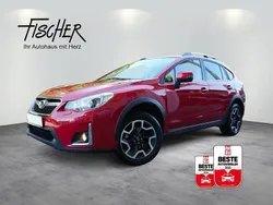 Rot Gebraucht 2017 Subaru XV Comfort SUV | 17.480 € (Etwas zu teuer)