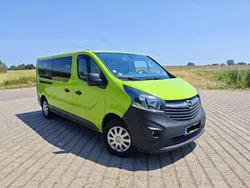 Grün Gebraucht 2019 Opel Vivaro Van | 24.000 € (Teuer)