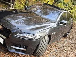 Grau Gebraucht 2016 Jaguar XF R-Sport Limousine | 21.900 € (Fairer Preis)