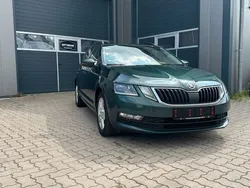 Grün Gebraucht 2019 Skoda Octavia Kombi | 9.990 € (Superpreis)
