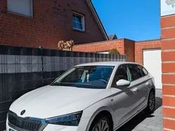 Weiß Gebraucht 2023 Skoda Scala Tour Kleinwagen | 19.600 € (Fairer Preis)