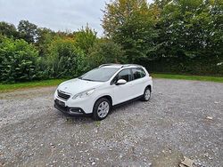 Weiß Gebraucht 2014 Peugeot 2008 SUV | 6.500 € (Fairer Preis)
