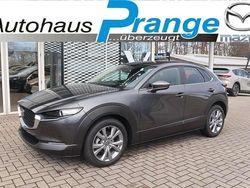 Machine gray Gebraucht 2024 Mazda CX-30 Exclusive-Line SUV | 32.485 € (Teuer)