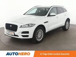 Weiß Gebraucht 2019 Jaguar F-Pace Pure SUV | 19.300 €