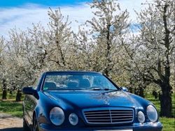 Blau Gebraucht 1999 Mercedes R320 Van / Kleinbus | 6.250 €