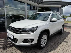 Weiß Gebraucht 2013 VW Tiguan Life SUV | 14.980 € (Fairer Preis)