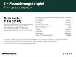 Grau Gebraucht 2023 Skoda Kamiq Tour SUV | 21.990 € (Guter Preis)