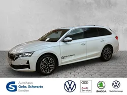 Weiß Gebraucht 2025 Skoda Octavia Selection Kombi | 38.990 € (Etwas zu teuer)