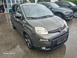 Colore esterno (bordeaux tramo Gebraucht 2021 Fiat Panda Sport Kleinwagen | 8.890 € (Guter Preis)