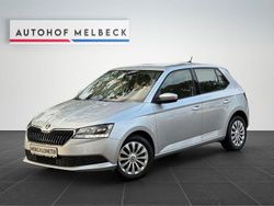 Silber Gebraucht 2019 Skoda Fabia Cool Plus Kleinwagen | 9.450 € (Fairer Preis)