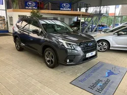 Grau Gebraucht 2023 Subaru Forester Platinum SUV | 37.950 € (Teuer)