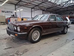 Braun Gebraucht 1983 Jaguar XJ6 Limousine | 4.999 €