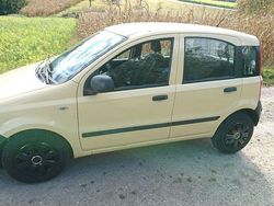 Gelb Gebraucht 2010 Fiat Panda Kleinwagen | 999 € (Guter Preis)