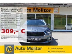 Grau Gebraucht 2024 Skoda Fabia Style Limousine | 18.990 € (Fairer Preis)