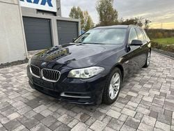 Blau Gebraucht 2013 BMW 525 Performance Kombi | 8.800 € (Guter Preis)