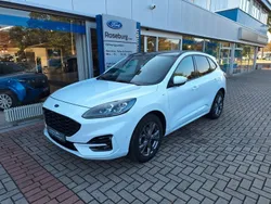 Weiß Gebraucht 2020 Ford Kuga ST-Line X SUV | 24.450 € (Teuer)