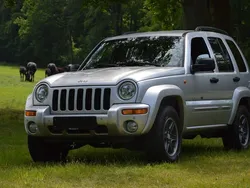 Silber Gebraucht 2003 Jeep Cherokee Limited SUV | 9.450 € (Fairer Preis)