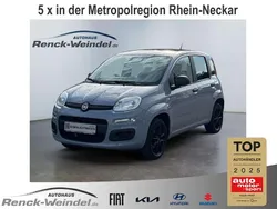 Grau Gebraucht 2019 Fiat Panda Easy Kleinwagen | 10.989 € (Etwas zu teuer)