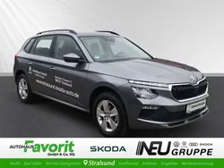 Grau Gebraucht 2024 Skoda Kamiq Selection SUV | 24.990 € (Etwas zu teuer)