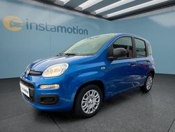Schwarz Neu 2025 Fiat Panda Icon Kleinwagen | 15.999 € (Etwas zu teuer)