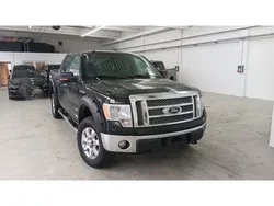 Gebraucht 2014 Ford F-150 XLT Abholung | 23.500 €