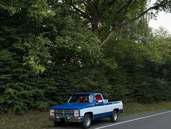 Blau Gebraucht 1987 Chevrolet C10 Abholung | 16.999 €