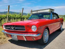 Rot Gebraucht 1965 Ford Mustang Cabrio | 48.000 €