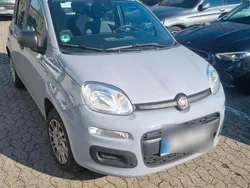 Grau Gebraucht 2018 Fiat Panda Kleinwagen | 9.500 €
