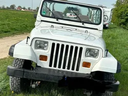 Weiß Gebraucht 1989 Jeep Wrangler SUV | 15.000 €