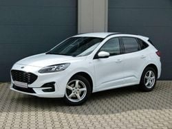 Weiß Gebraucht 2022 Ford Kuga ST-Line X SUV | 20.999 € (Guter Preis)