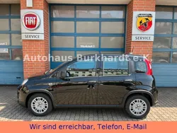 Schwarz Neu 2025 Fiat Panda Kleinwagen | 16.705 €