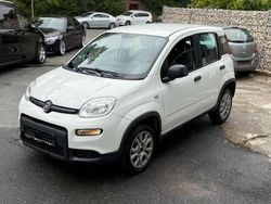 Weiß Gebraucht 2014 Fiat Panda 4x4 Kleinwagen | 3.200 € (Guter Preis)