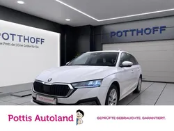 Weiss Gebraucht 2023 Skoda Octavia Style Kombi | 23.477 € (Guter Preis)
