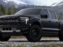 Agate blackmet Neu 2025 Ford F-150 Raptor Abholung | 115.900 €