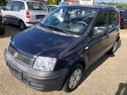 Blau Gebraucht 2009 Fiat Panda Active Kleinwagen | 2.500 € (Fairer Preis)