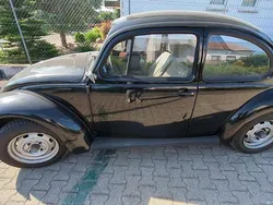 Gebraucht 1995 VW Käfer | 9.999 €