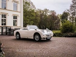 Weiß Gebraucht 1960 Austin Healey Frogeye Cabrio | 25.950 €
