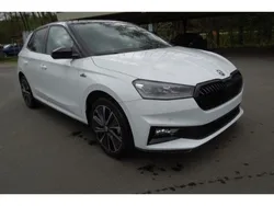 Weiss Neu 2024 Skoda Fabia Monte Carlo Limousine | 27.990 € (Etwas zu teuer)