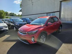 Rot Neu 2024 Kia Stonic Vision SUV | 20.470 € (Superpreis)