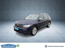 Blau Gebraucht 2021 VW Tiguan Allspace Life SUV | 25.950 € (Superpreis)