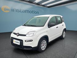 Weiß Neu 2024 Fiat Panda Kleinwagen | 12.499 € (Superpreis)