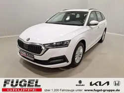 Candyweiss Gebraucht 2024 Skoda Octavia Kombi | 24.899 € (Guter Preis)