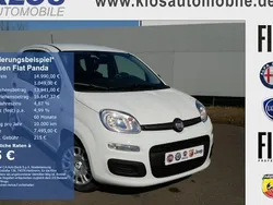 Weiß Neu 2025 Fiat Panda Pop Kleinwagen | 14.990 € (Fairer Preis)