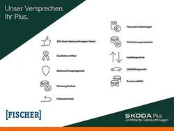 Grau Gebraucht 2024 Skoda Superb Style Kombi | 35.870 € (Teuer)