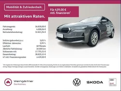 Othercolor Gebraucht 2024 Skoda Octavia Selection Kombi | 36.830 € (Fairer Preis)